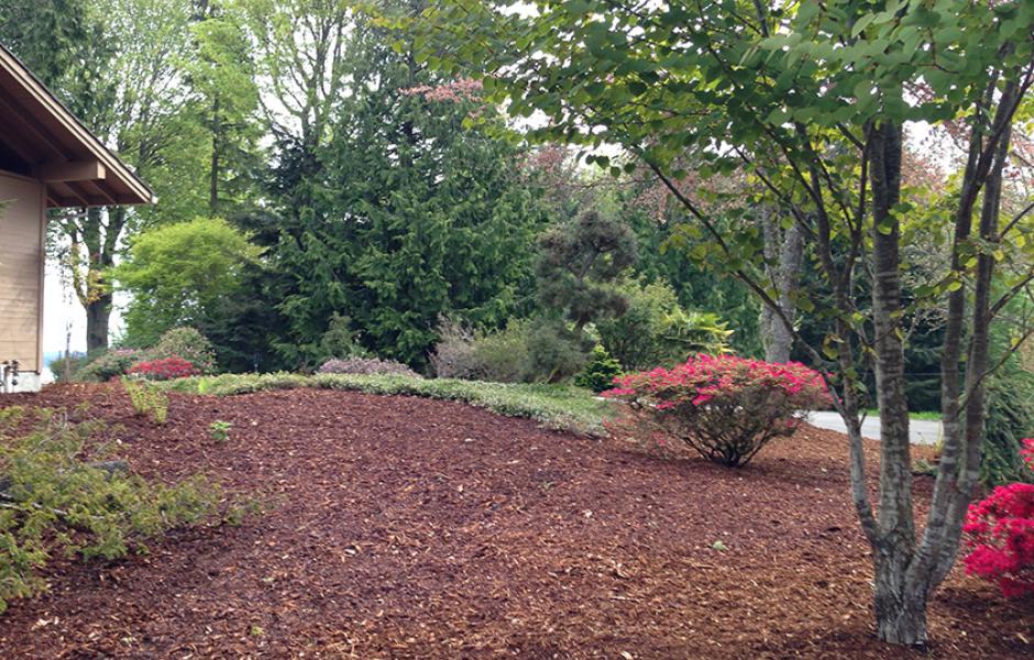 Northwest Japanese Garden Before