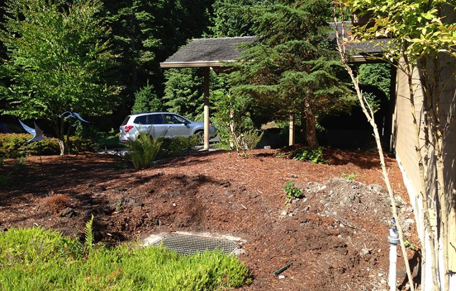 Northwest Japanese Garden Before