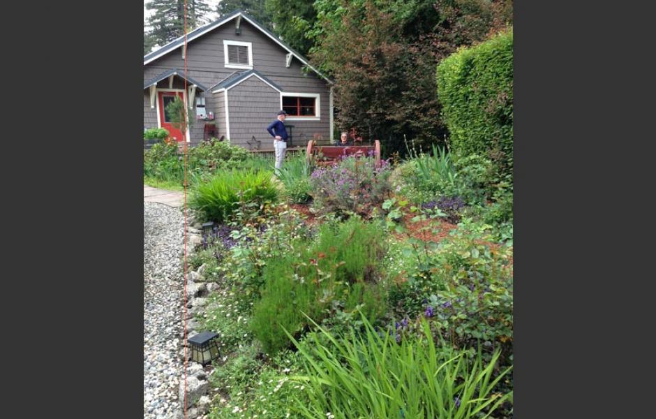 Guerneville Rose Garden After