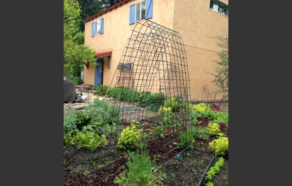 Guerneville Rose Garden After