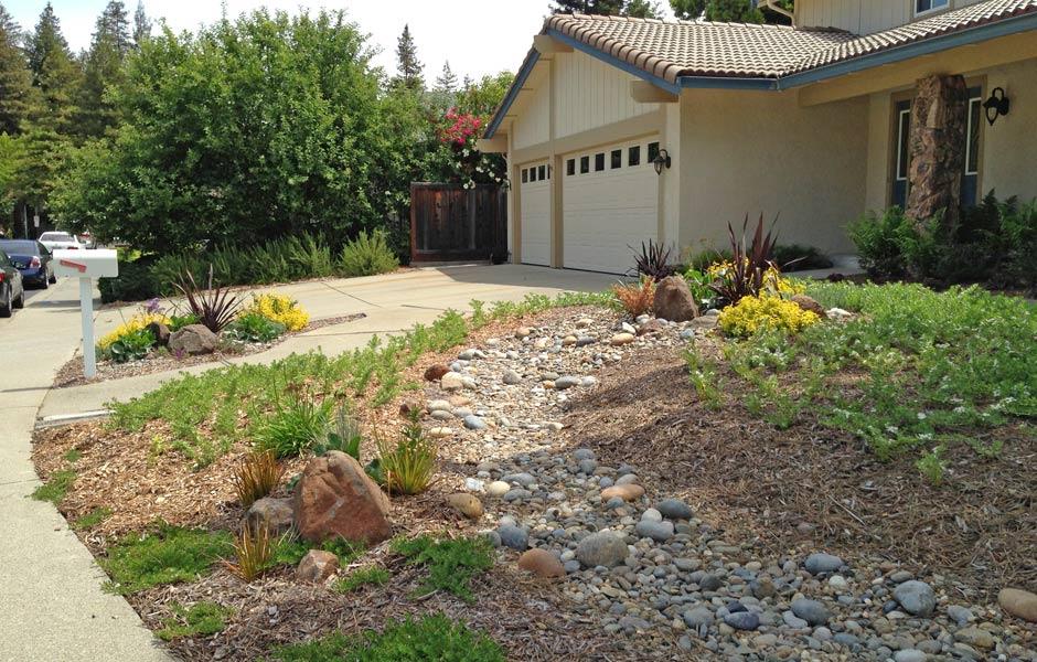 Pleasant Hill Lawn Transformation After