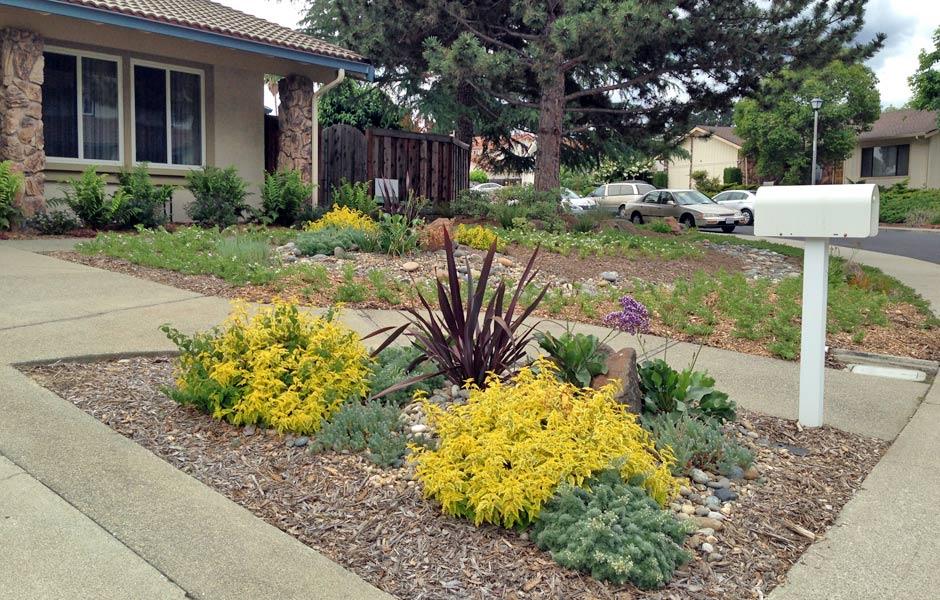 Pleasant Hill Lawn Transformation After