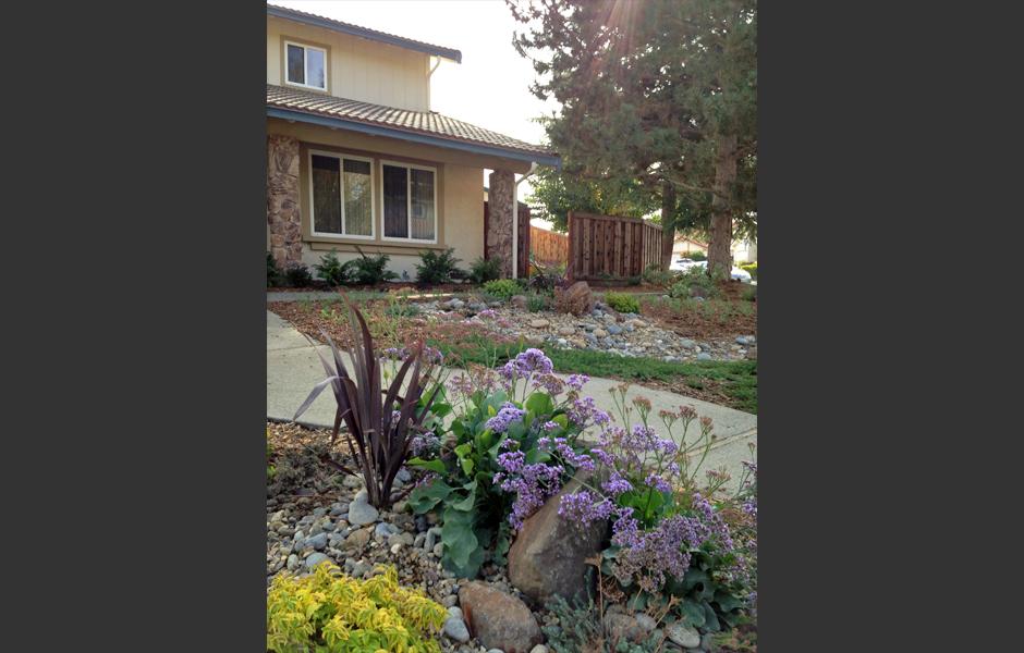 Pleasant Hill Lawn Transformation After