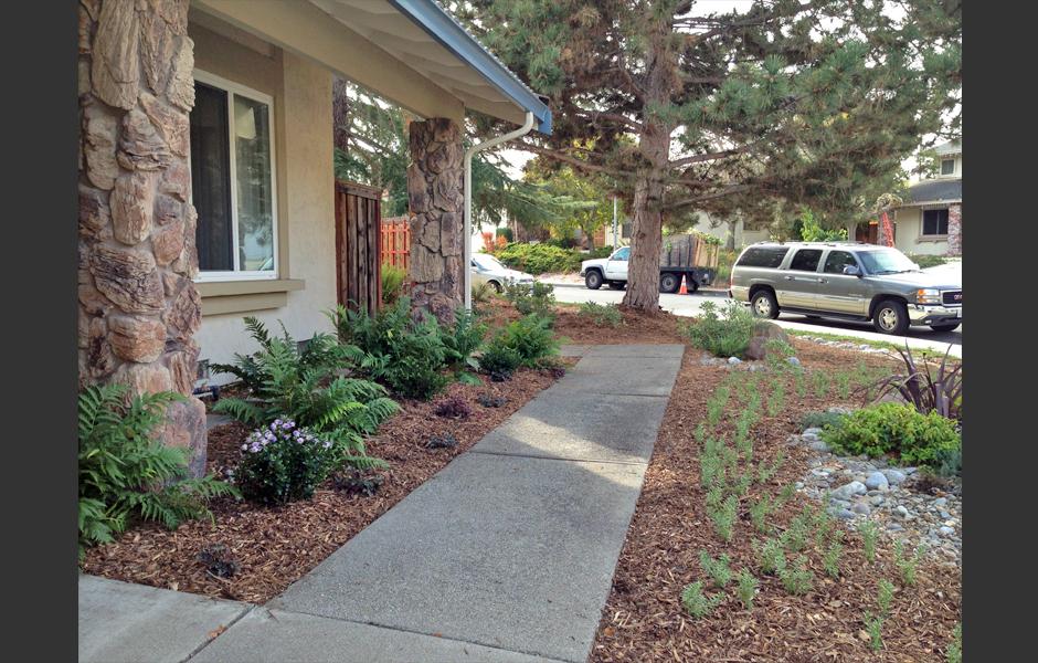 Pleasant Hill Lawn Transformation After