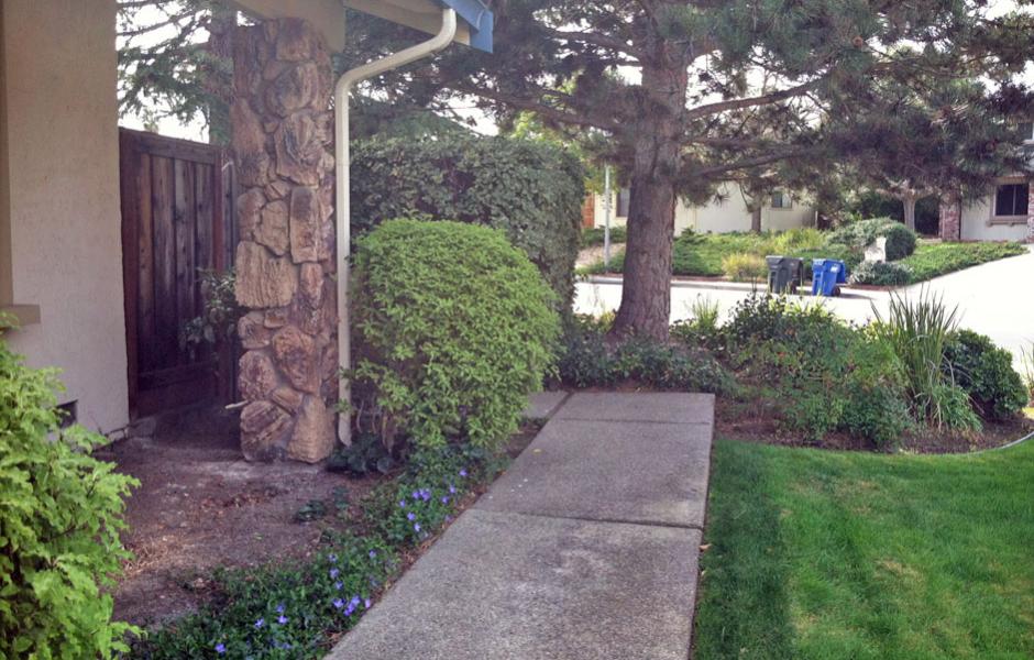 Pleasant Hill Lawn Transformation After