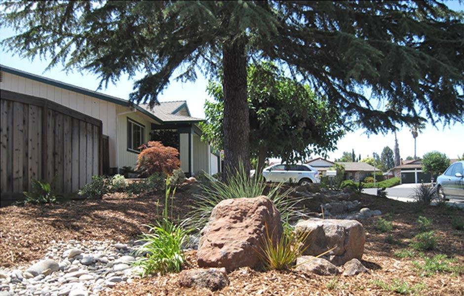 Pleasant Hill Lawn Transformation Before