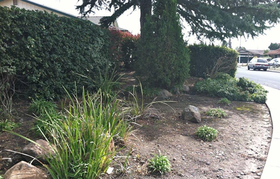 Pleasant Hill Lawn Transformation Before