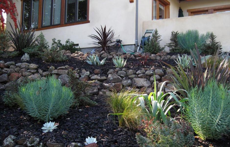 Walnut Creek Mediterranean After