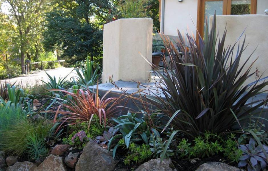 Walnut Creek Mediterranean After