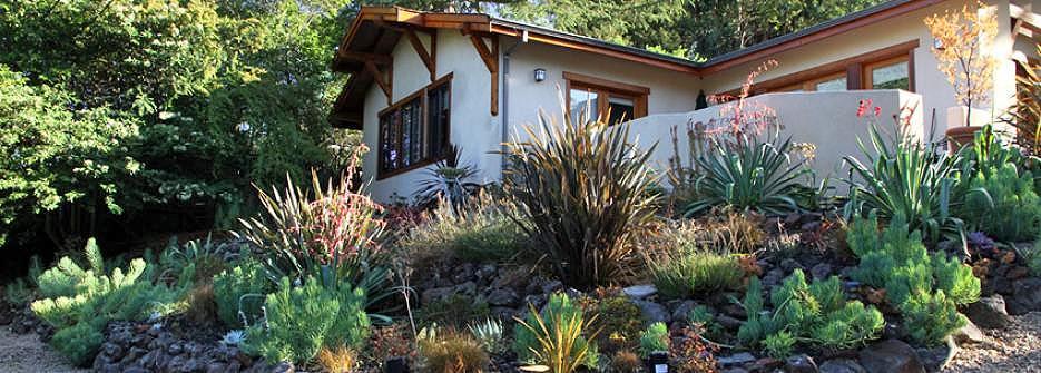 Walnut Creek Mediterranean Front Garden