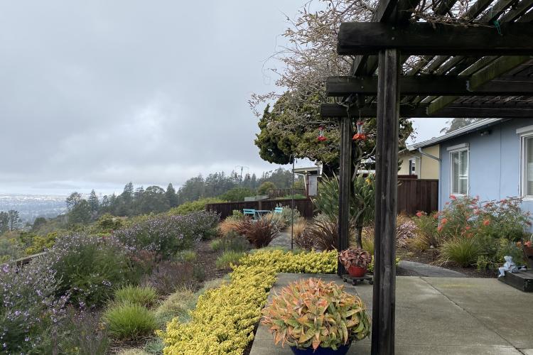 Conner Full Back March21