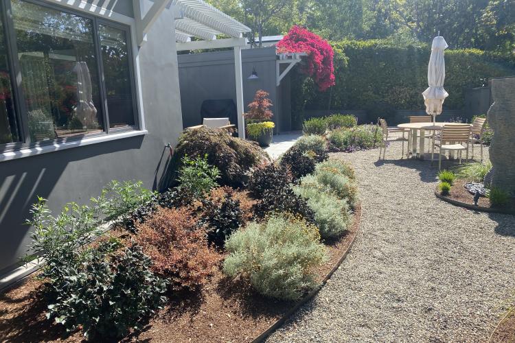 Indi Rock- Claremont Modern