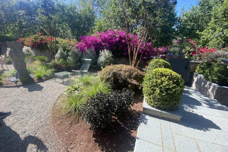 Indi Rock- Claremont Modern