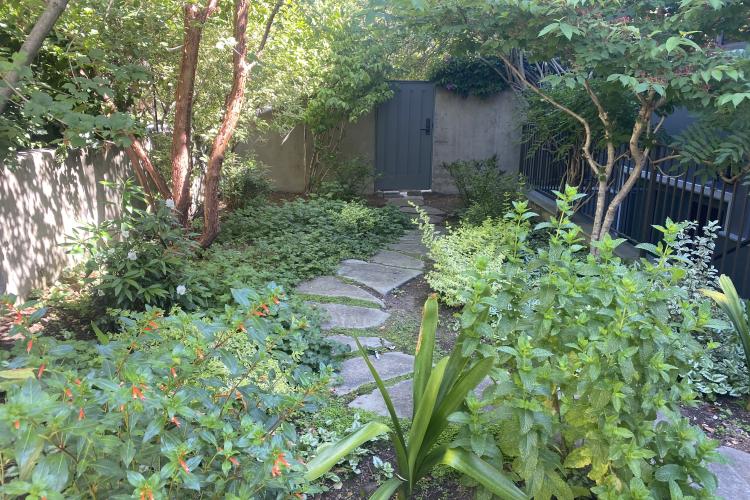 Indi Rock- Claremont Modern