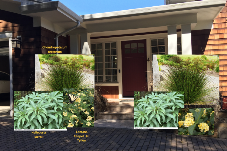 Lafayette Family Retreat Front Planter