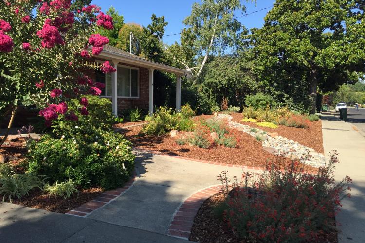 Lawn to Drought-Friendly Garden