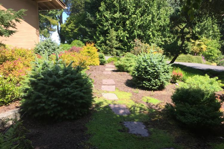 Northwest Japanese Revisited