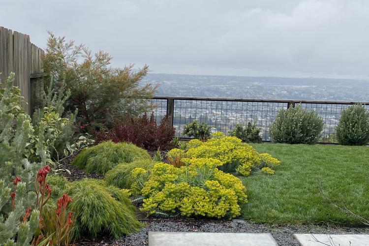 Ortega Rear After South West Corner