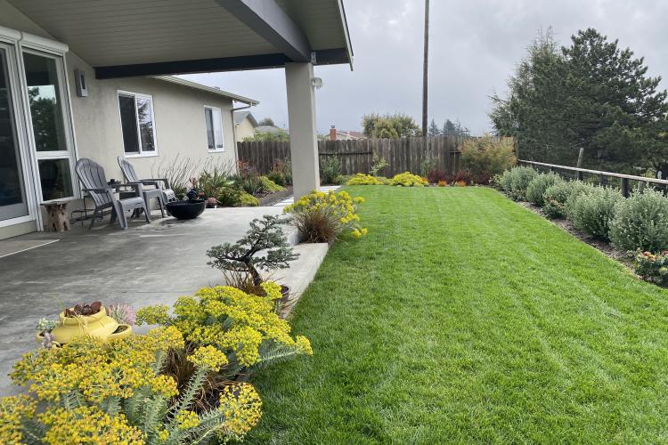 Ortega Rear Looking South