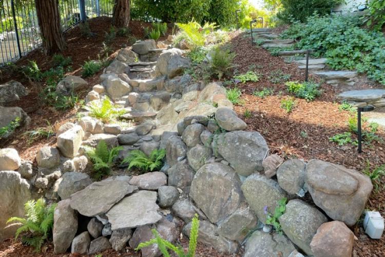 Redwood Stroll Cascade