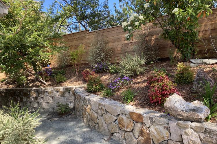 Walnut Creek Retreat Wall Bed