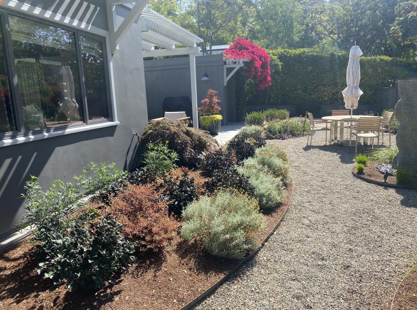 Indi Rock- Claremont Modern