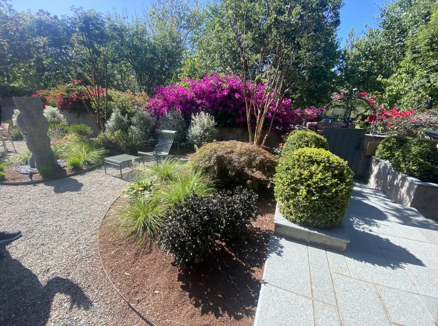 Indi Rock- Claremont Modern