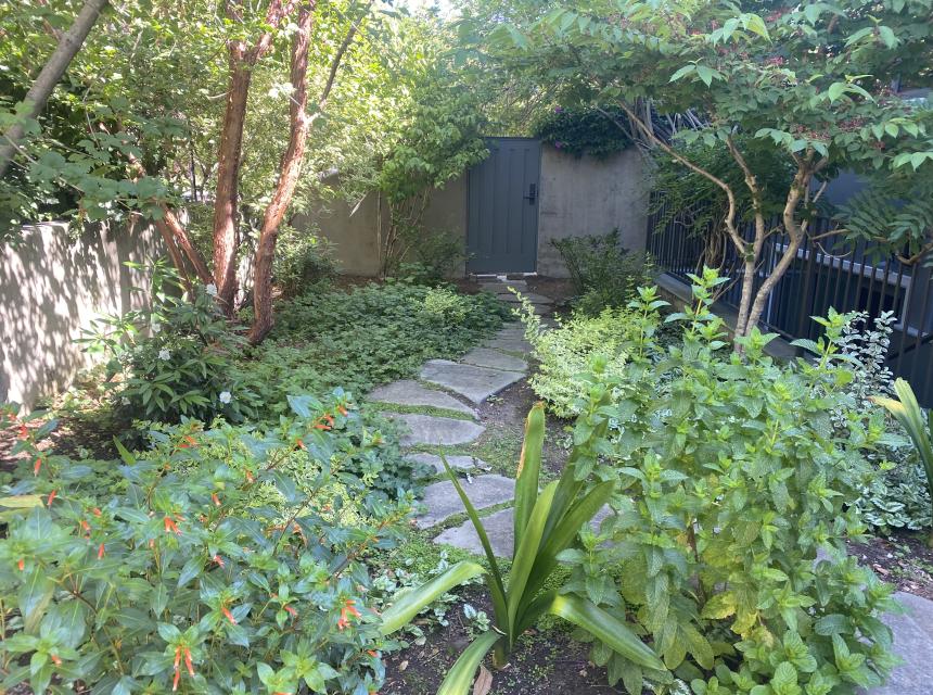 Indi Rock- Claremont Modern