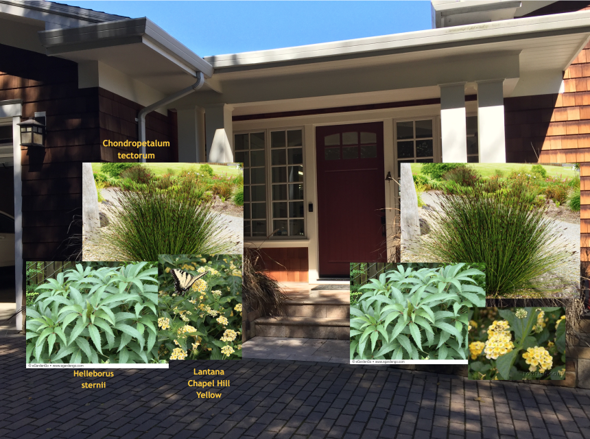 Lafayette Family Retreat Front Planter