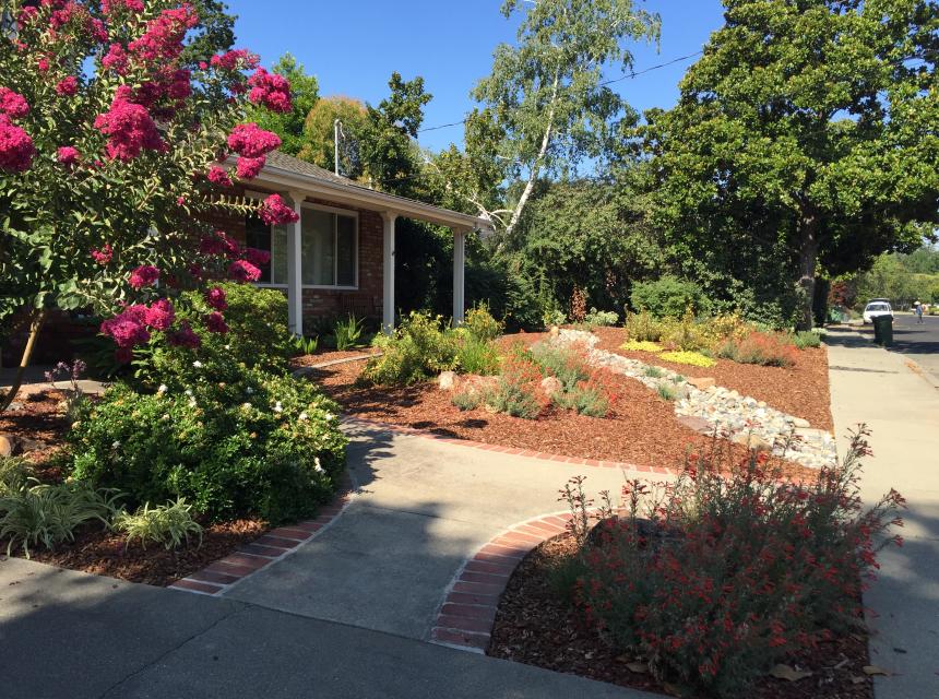 Lawn to Drought-Friendly Garden