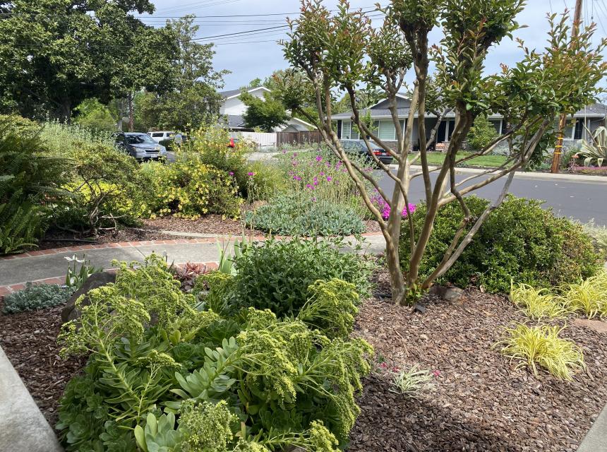 Lawn To Garden After