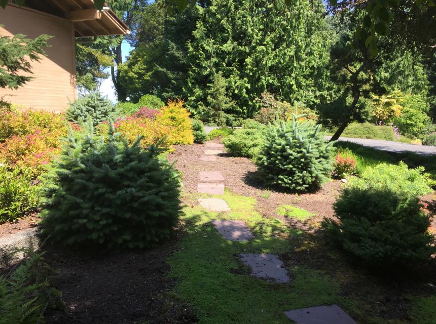 Northwest Japanese Revisited