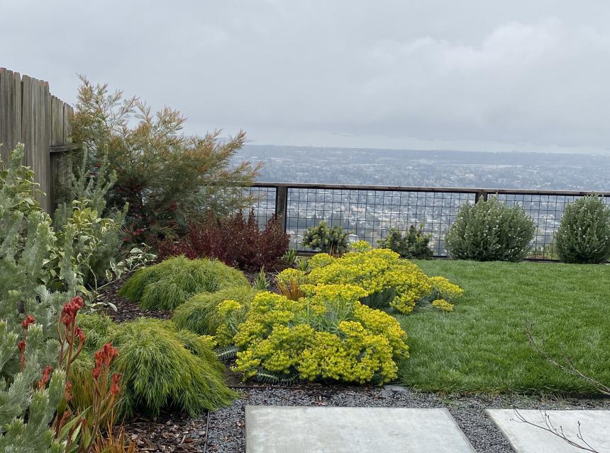 Ortega Rear After South West Corner