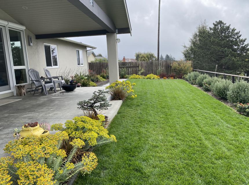 Ortega Rear Looking South