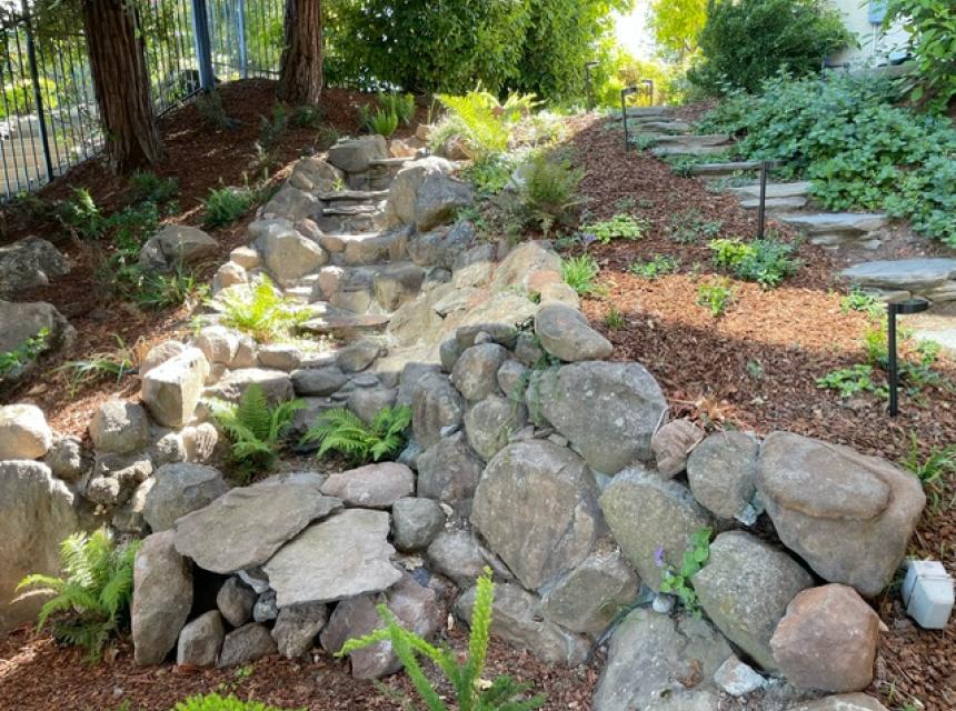 Redwood Stroll Cascade