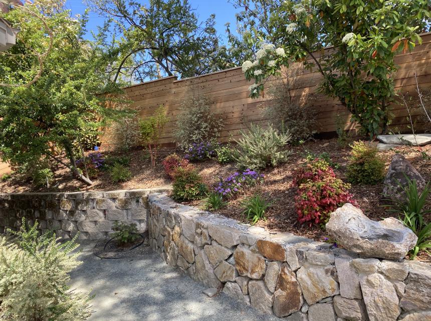 Walnut Creek Retreat Wall Bed