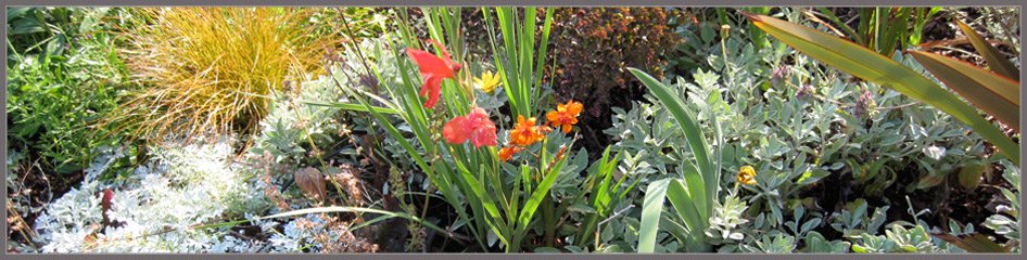 Garden by Michal detail