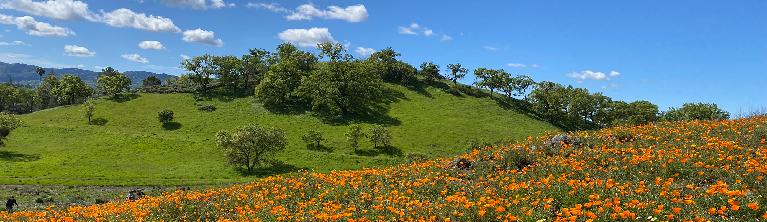 California Open Space