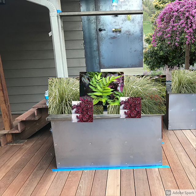 Plant Sample Photos