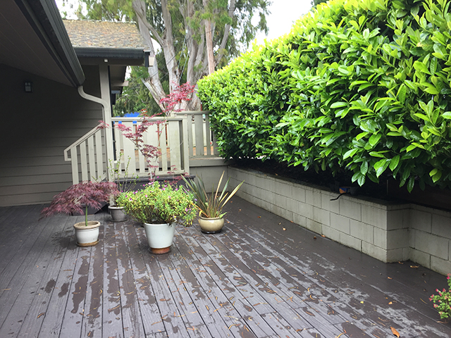 Before Photo 1